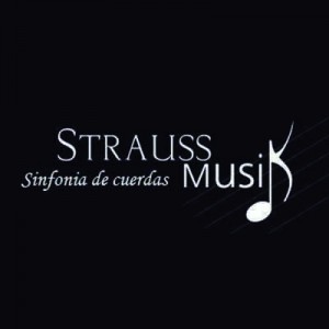 STRAUSS MUSIK - Violines para Eventos